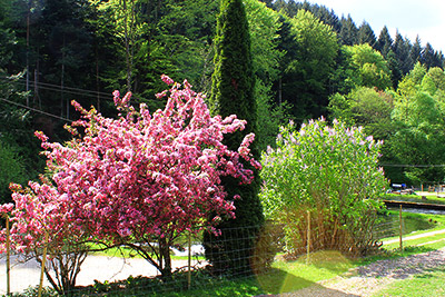 Bergquellschlösschen