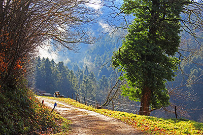 Idyllische Wanderwege rund um Badenweiler