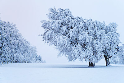 Winterstimmung auf dem Schauinsland